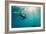 California Sea Lion Los Islotes, Baja California, Mexico-Renato Granieri-Framed Photographic Print