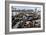 California Sea Lions-Alan Sirulnikoff-Framed Photographic Print