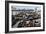 California Sea Lions-Alan Sirulnikoff-Framed Photographic Print