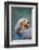 California Sea Otter floating face up, Monterey, California-Stuart Westmorland-Framed Photographic Print