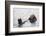 California Sea Otter-Hal Beral-Framed Premium Photographic Print