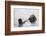 California Sea Otter-Hal Beral-Framed Photographic Print