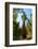 California, Sequoia, Kings Canyon National Park, General Grant Tree-Bernard Friel-Framed Photographic Print