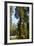 California, Sequoia, Kings Canyon National Park, Grant Grove, Giant Sequoia Trees-Bernard Friel-Framed Photographic Print