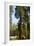 California, Sequoia, Kings Canyon National Park, Grant Grove, Giant Sequoia Trees-Bernard Friel-Framed Photographic Print