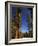 California, Sequoia National Park, Huge Trunks of Tall Sequoia Trees on Tall Trees Trail in Winter-Christian Kober-Framed Photographic Print