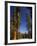 California, Sequoia National Park, Huge Trunks of Tall Sequoia Trees on Tall Trees Trail in Winter-Christian Kober-Framed Photographic Print