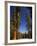 California, Sequoia National Park, Huge Trunks of Tall Sequoia Trees on Tall Trees Trail in Winter-Christian Kober-Framed Photographic Print