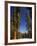 California, Sequoia National Park, Huge Trunks of Tall Sequoia Trees on Tall Trees Trail in Winter-Christian Kober-Framed Photographic Print