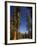 California, Sequoia National Park, Huge Trunks of Tall Sequoia Trees on Tall Trees Trail in Winter-Christian Kober-Framed Photographic Print