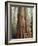 California, Sequoia Nf, Giant Sequoia Redwood Trees-Christopher Talbot Frank-Framed Photographic Print