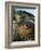 California, Sierra Nevada, Alabama Hills, Apricot Mallow Backlit-Christopher Talbot Frank-Framed Photographic Print