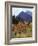 California, Sierra Nevada, Autumn Aspens in the Mcgee Creak Area-Christopher Talbot Frank-Framed Photographic Print