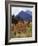 California, Sierra Nevada, Autumn Aspens in the Mcgee Creak Area-Christopher Talbot Frank-Framed Photographic Print