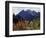 California, Sierra Nevada, Autumn Aspens in the Mcgee Creak Area-Christopher Talbot Frank-Framed Photographic Print