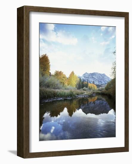 California, Sierra Nevada, Autumn Aspens Reflecting in Bishop Creek-Christopher Talbot Frank-Framed Photographic Print