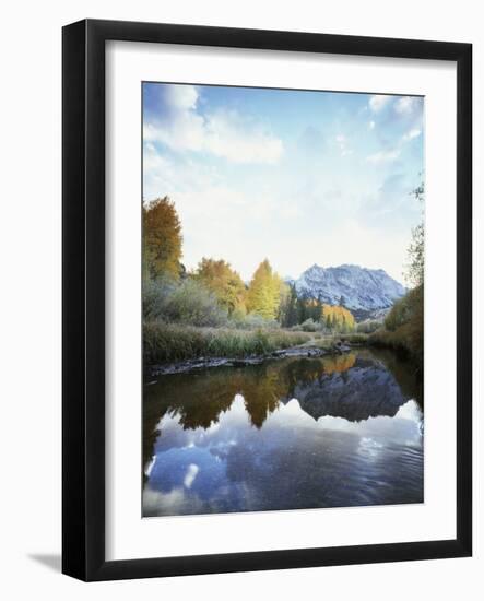 California, Sierra Nevada, Autumn Aspens Reflecting in Bishop Creek-Christopher Talbot Frank-Framed Photographic Print