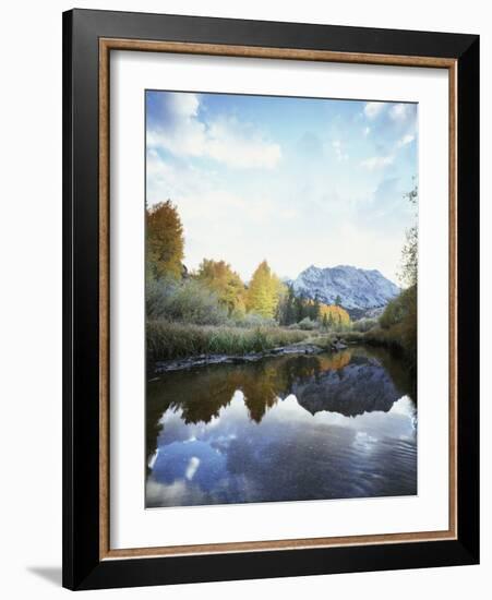 California, Sierra Nevada, Autumn Aspens Reflecting in Bishop Creek-Christopher Talbot Frank-Framed Photographic Print