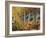 California, Sierra Nevada, Autumn Colors of Aspen Trees in Inyo NF-Christopher Talbot Frank-Framed Photographic Print