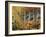 California, Sierra Nevada, Autumn Colors of Aspen Trees in Inyo NF-Christopher Talbot Frank-Framed Photographic Print