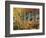 California, Sierra Nevada, Autumn Colors of Aspen Trees in Inyo NF-Christopher Talbot Frank-Framed Photographic Print