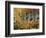 California, Sierra Nevada, Autumn Colors of Aspen Trees in Inyo NF-Christopher Talbot Frank-Framed Photographic Print