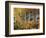 California, Sierra Nevada, Autumn Colors of Aspen Trees in Inyo NF-Christopher Talbot Frank-Framed Photographic Print