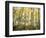 California, Sierra Nevada, Autumn Colors of Aspen Trees in the Forest-Christopher Talbot Frank-Framed Photographic Print