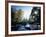 California, Sierra Nevada, Fall Color Trees on a Creek-Christopher Talbot Frank-Framed Photographic Print