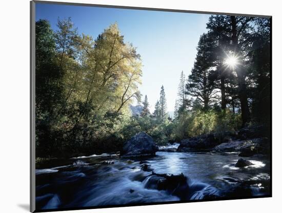 California, Sierra Nevada, Fall Color Trees on a Creek-Christopher Talbot Frank-Mounted Photographic Print