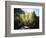 California, Sierra Nevada, Fall Colors of Cottonwood Trees on a Creek-Christopher Talbot Frank-Framed Photographic Print