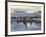 California, Sierra Nevada, Full Moon over Tufa Formations on Mono Lake-Christopher Talbot Frank-Framed Photographic Print