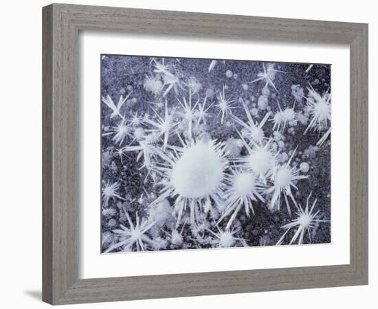 California, Sierra Nevada, Ice Crystals on a Lake for Frozen Bubbles-Christopher Talbot Frank-Framed Photographic Print