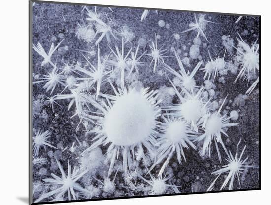 California, Sierra Nevada, Ice Crystals on a Lake for Frozen Bubbles-Christopher Talbot Frank-Mounted Photographic Print