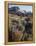 California, Sierra Nevada. Indian Paintbrush, Castilleja, and Lupine-Christopher Talbot Frank-Framed Premier Image Canvas