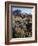 California, Sierra Nevada. Indian Paintbrush, Castilleja, and Lupine-Christopher Talbot Frank-Framed Photographic Print