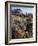 California, Sierra Nevada. Indian Paintbrush, Castilleja, and Lupine-Christopher Talbot Frank-Framed Photographic Print