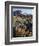 California, Sierra Nevada. Indian Paintbrush, Castilleja, and Lupine-Christopher Talbot Frank-Framed Photographic Print