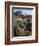 California, Sierra Nevada. Indian Paintbrush, Castilleja, and Lupine-Christopher Talbot Frank-Framed Photographic Print