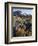 California, Sierra Nevada. Indian Paintbrush, Castilleja, and Lupine-Christopher Talbot Frank-Framed Photographic Print