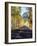 California, Sierra Nevada, Inyo Nf, a Road Through Aspens-Christopher Talbot Frank-Framed Photographic Print