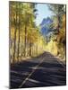 California, Sierra Nevada, Inyo Nf, a Road Through Aspens-Christopher Talbot Frank-Mounted Photographic Print