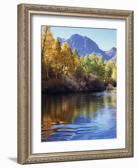 California, Sierra Nevada, Inyo Nf, Autumn Aspen Reflect in Rush Creek-Christopher Talbot Frank-Framed Photographic Print