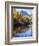 California, Sierra Nevada, Inyo Nf, Autumn Aspen Reflect in Rush Creek-Christopher Talbot Frank-Framed Photographic Print