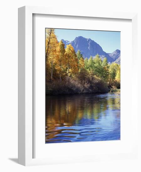 California, Sierra Nevada, Inyo Nf, Autumn Aspen Reflect in Rush Creek-Christopher Talbot Frank-Framed Photographic Print