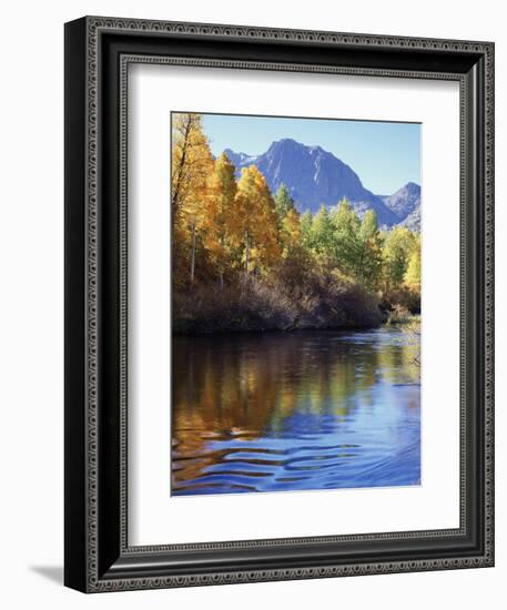 California, Sierra Nevada, Inyo Nf, Autumn Aspen Reflect in Rush Creek-Christopher Talbot Frank-Framed Photographic Print