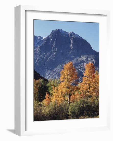 California, Sierra Nevada, Inyo Nf, Autumn Aspens Below Mountain Peak-Christopher Talbot Frank-Framed Photographic Print