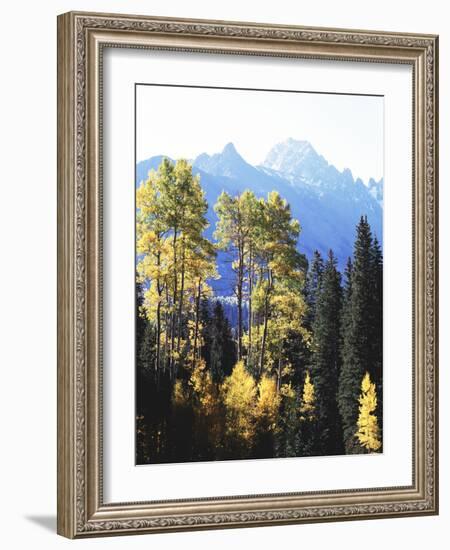 California, Sierra Nevada, Inyo Nf, Autumn Aspens Below Mountain Peak-Christopher Talbot Frank-Framed Photographic Print