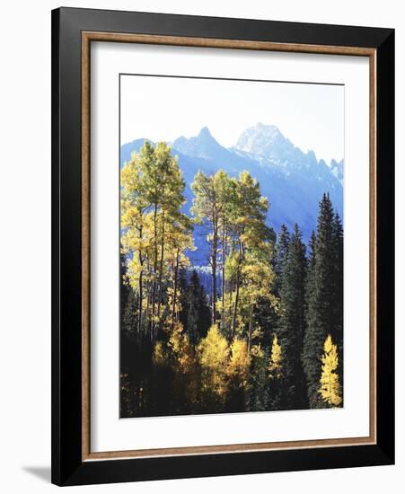 California, Sierra Nevada, Inyo Nf, Autumn Aspens Below Mountain Peak-Christopher Talbot Frank-Framed Photographic Print