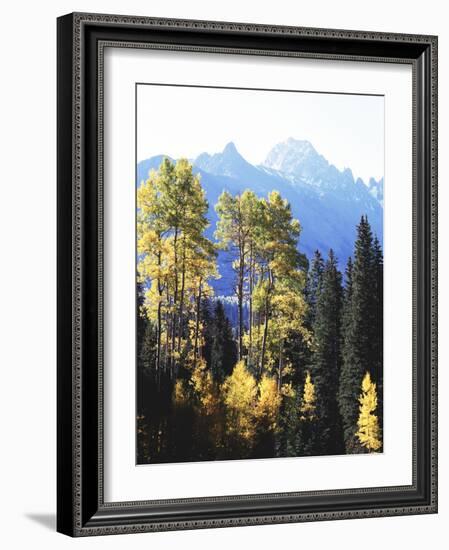 California, Sierra Nevada, Inyo Nf, Autumn Aspens Below Mountain Peak-Christopher Talbot Frank-Framed Photographic Print